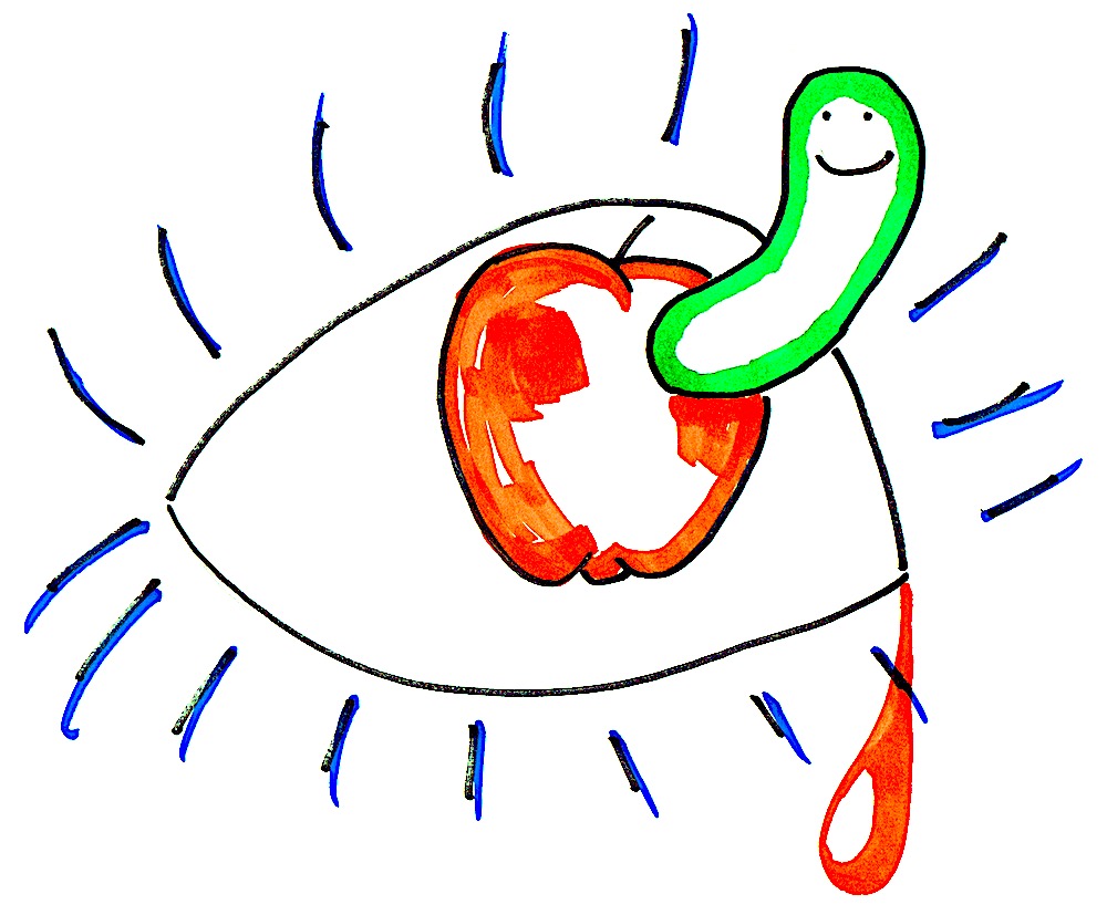 Apple worm eye